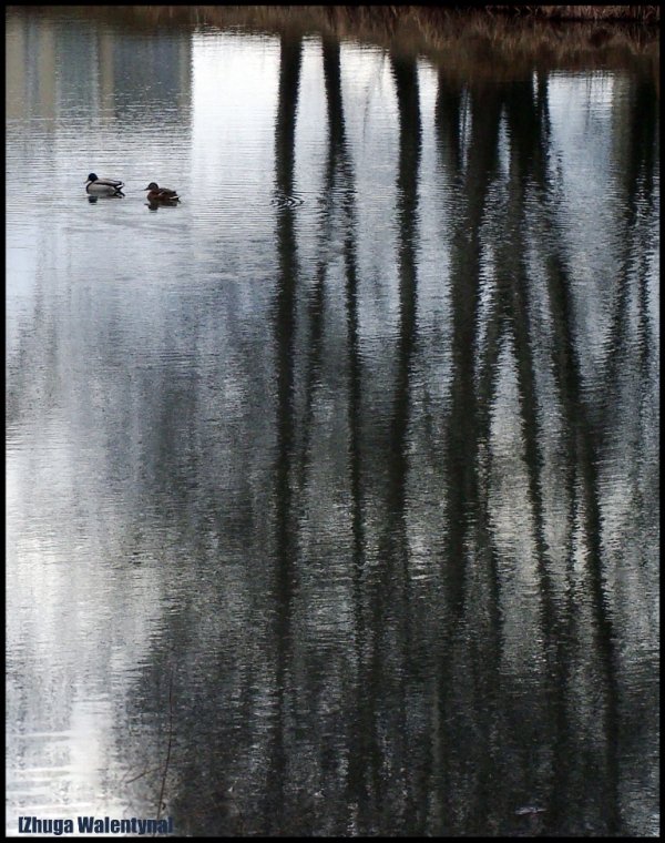 Фотовиставка Валентини Жуги